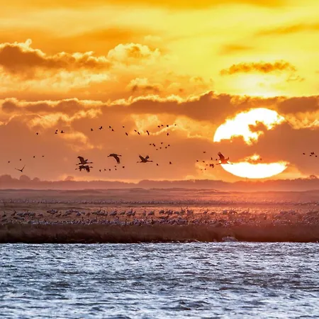 Duncan House Mit Kamin Und Garten Göhren-Lebbin