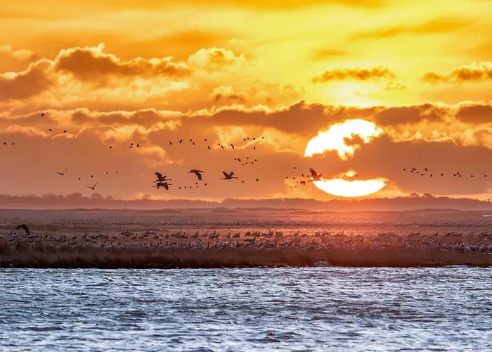 Duncan House Mit Kamin Und Garten Göhren-Lebbin